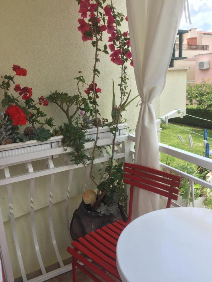דירות באסקה וודה Vintage House For Rent 60M From Sea מראה חיצוני תמונה